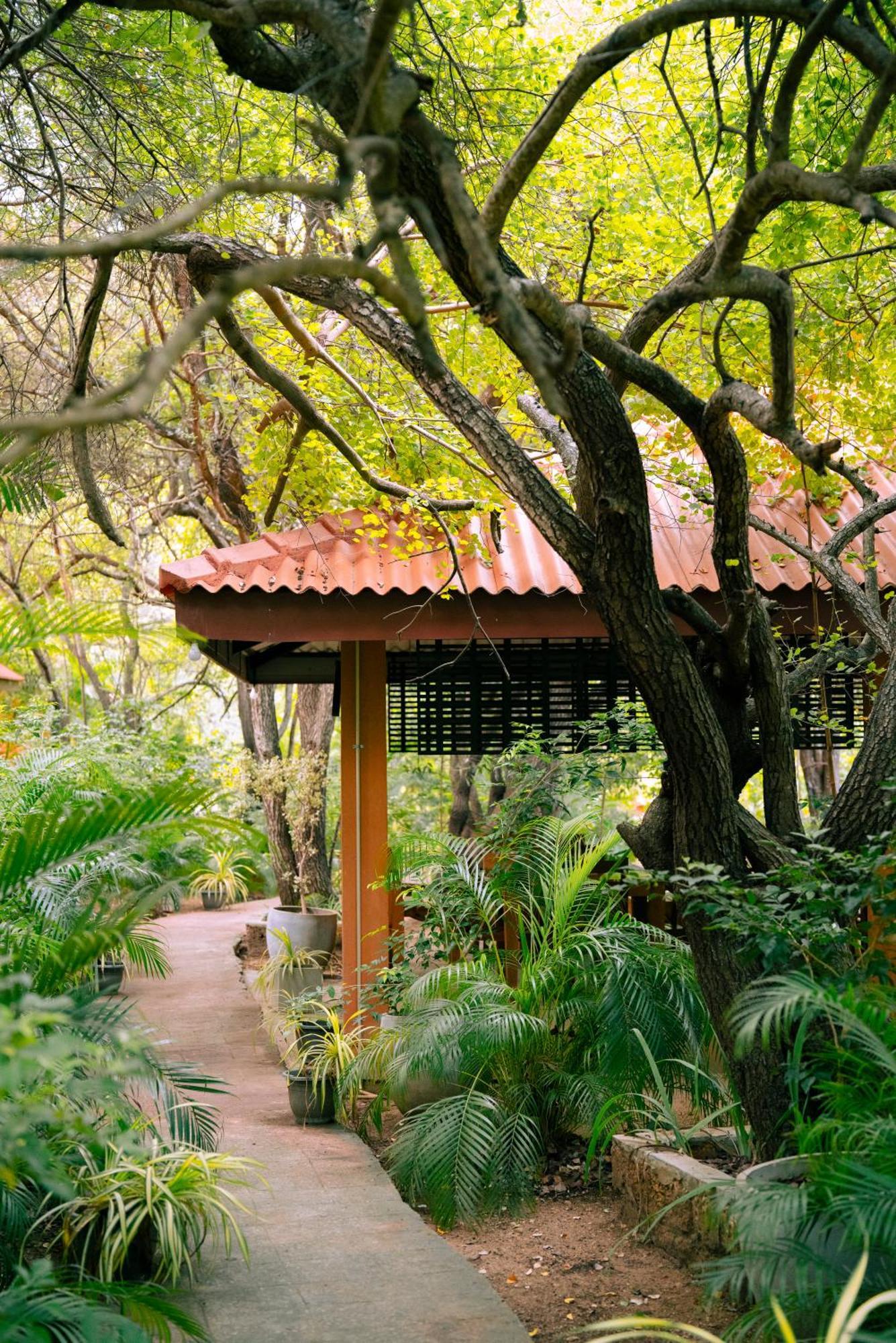 Safari Lodge Yala Kataragama Exterior foto