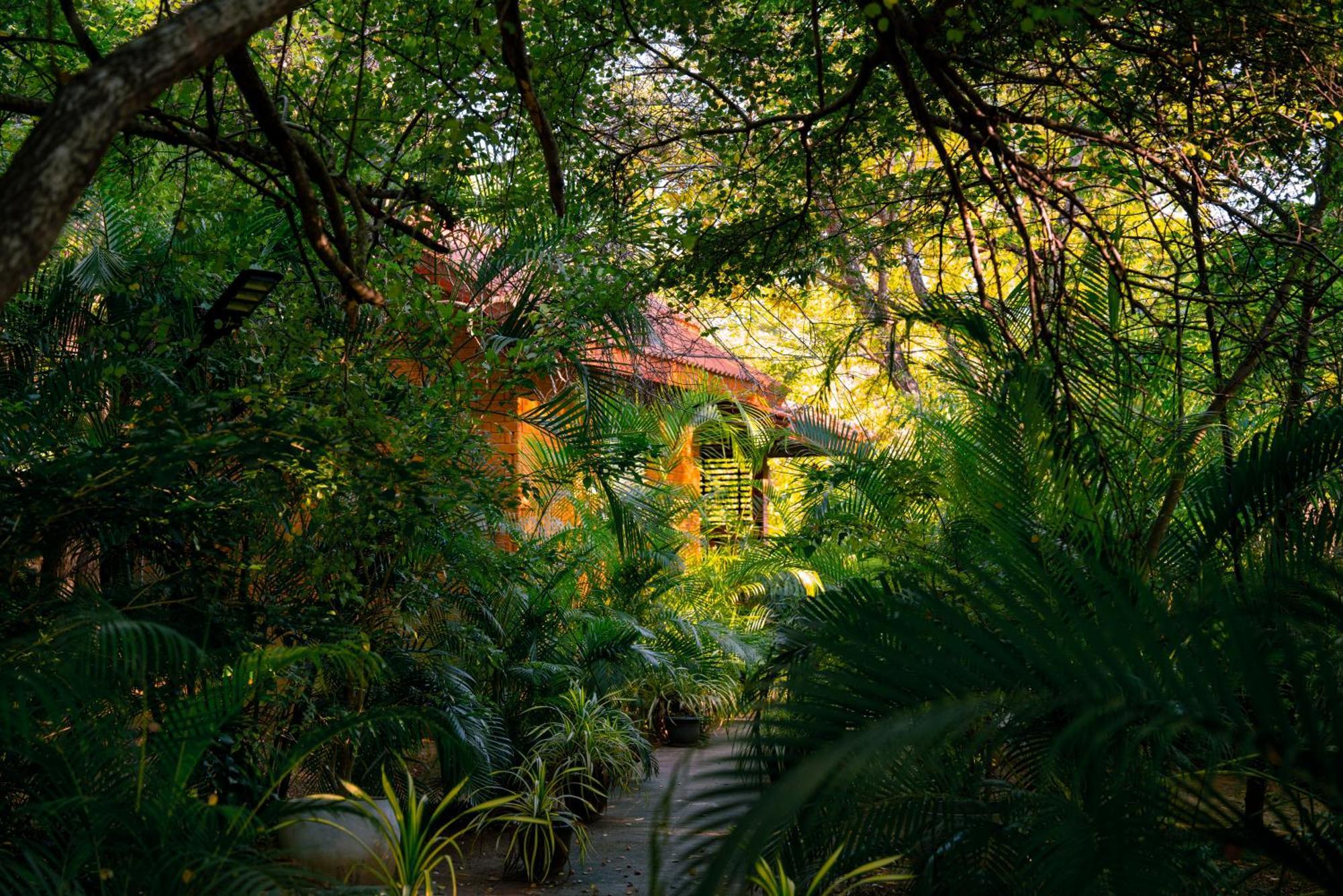 Safari Lodge Yala Kataragama Exterior foto