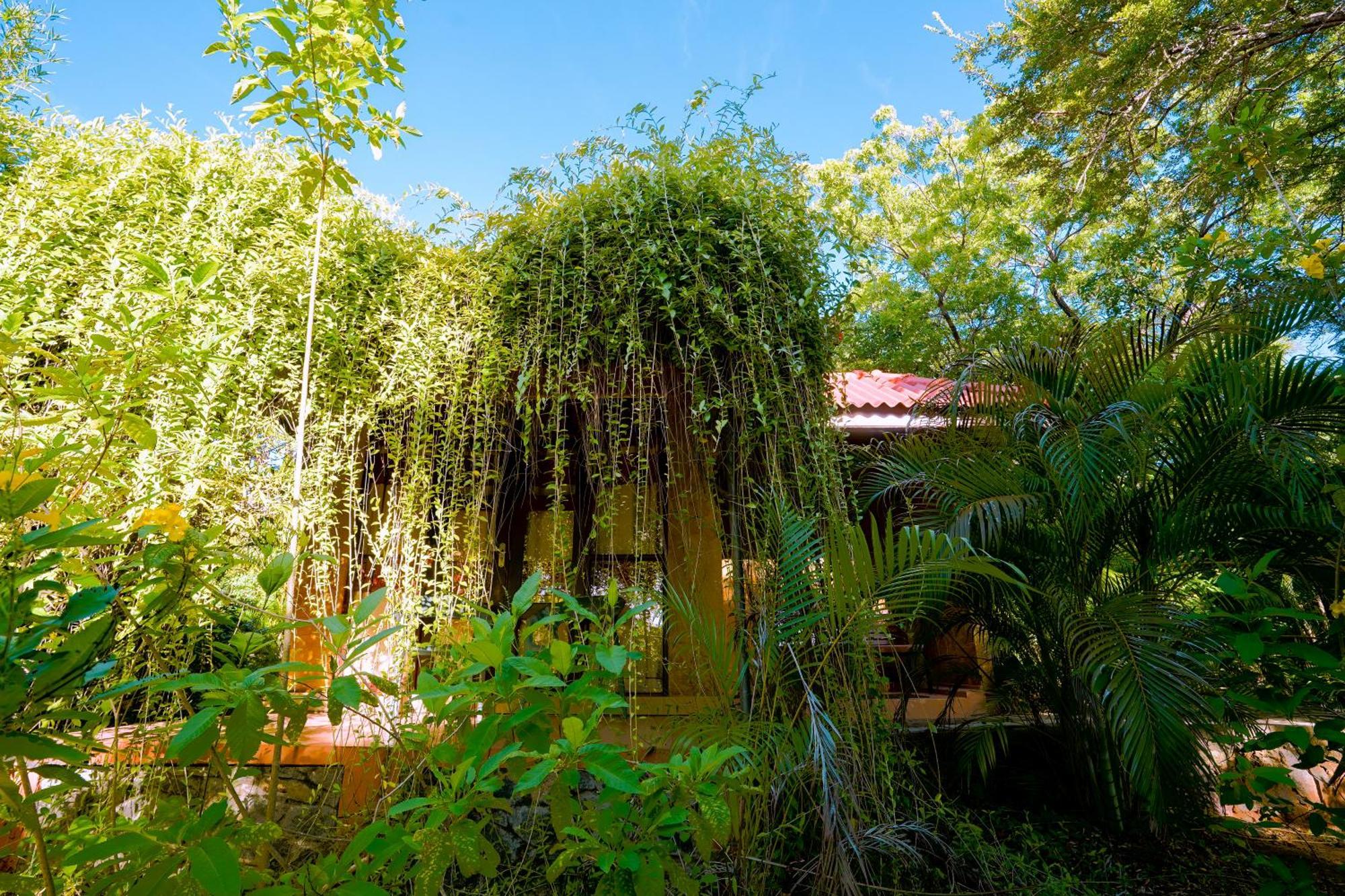 Safari Lodge Yala Kataragama Exterior foto