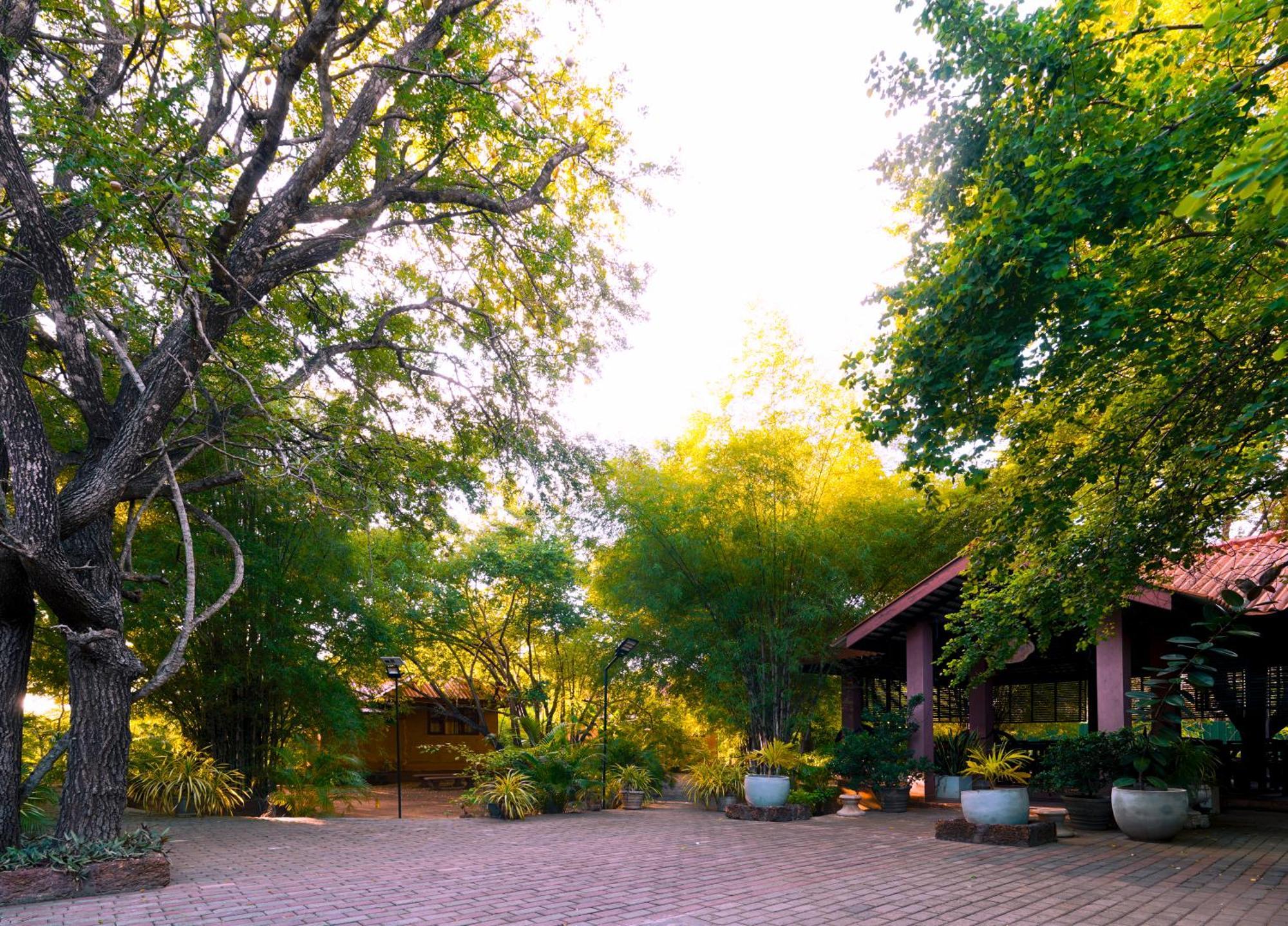 Safari Lodge Yala Kataragama Exterior foto